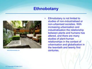 © Copyright PCNM 2011
Ethnobotany
• Ethnobotany is not limited to
studies of non-industrialised or
non-urbanised societies. With
increasing urbanisation and
industrialisation the relationship
between plants and humans has
altered, and there are many
studies of plant-human
relationships in the context of
urbanisation and globalisation in
the twentieth and twenty first
centuries.www.philipnixondesign.com
 