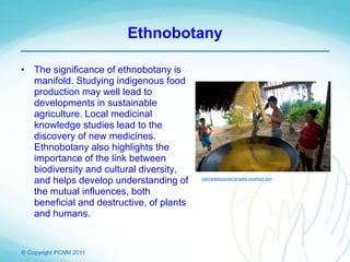 © Copyright PCNM 2011
Ethnobotany
• The significance of ethnobotany is
manifold. Studying indigenous food
production may well lead to
developments in sustainable
agriculture. Local medicinal
knowledge studies lead to the
discovery of new medicines.
Ethnobotany also highlights the
importance of the link between
biodiversity and cultural diversity,
and helps develop understanding of
the mutual influences, both
beneficial and destructive, of plants
and humans.
salonedelgustoterramadre.slowfood.com
 