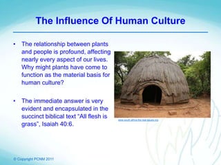 © Copyright PCNM 2011
The Influence Of Human Culture
• The relationship between plants
and people is profound, affecting
nearly every aspect of our lives.
Why might plants have come to
function as the material basis for
human culture?
• The immediate answer is very
evident and encapsulated in the
succinct biblical text “All flesh is
grass”, Isaiah 40:6.
www.south-africa-the-real-issues.org
 