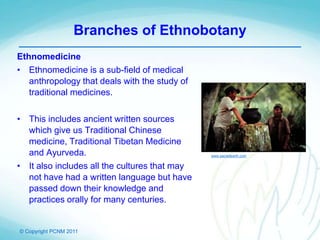 © Copyright PCNM 2011
Branches of Ethnobotany
Ethnomedicine
• Ethnomedicine is a sub-field of medical
anthropology that deals with the study of
traditional medicines.
• This includes ancient written sources
which give us Traditional Chinese
medicine, Traditional Tibetan Medicine
and Ayurveda.
• It also includes all the cultures that may
not have had a written language but have
passed down their knowledge and
practices orally for many centuries.
www.sacredearth.com
 
