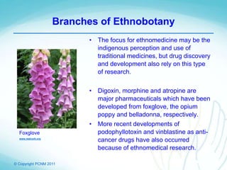 © Copyright PCNM 2011
Branches of Ethnobotany
• The focus for ethnomedicine may be the
indigenous perception and use of
traditional medicines, but drug discovery
and development also rely on this type
of research.
• Digoxin, morphine and atropine are
major pharmaceuticals which have been
developed from foxglove, the opium
poppy and belladonna, respectively.
• More recent developments of
podophyllotoxin and vinblastine as anti-
cancer drugs have also occurred
because of ethnomedical research.
Foxglove
www.realcork.org
 