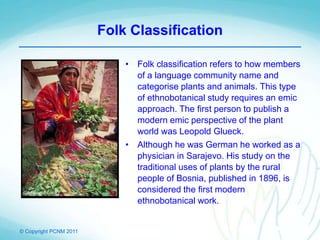 © Copyright PCNM 2011
Folk Classification
• Folk classification refers to how members
of a language community name and
categorise plants and animals. This type
of ethnobotanical study requires an emic
approach. The first person to publish a
modern emic perspective of the plant
world was Leopold Glueck.
• Although he was German he worked as a
physician in Sarajevo. His study on the
traditional uses of plants by the rural
people of Bosnia, published in 1896, is
considered the first modern
ethnobotanical work.
 