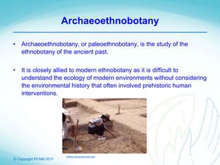 © Copyright PCNM 2011
Archaeoethnobotany
• Archaeoethnobotany, or paleoethnobotany, is the study of the
ethnobotany of the ancient past.
• It is closely allied to modern ethnobotany as it is difficult to
understand the ecology of modern environments without considering
the environmental history that often involved prehistoric human
interventions.
anthro.vancouver.wsu.edu
 