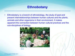 © Copyright PCNM 2011
Ethnobotany
• Ethnobotany is a branch of ethnobiology, the study of past and
present interrelationships between human cultures and the plants,
animals and other organisms in their environment. It makes
apparent the connection between human cultural practices and the
sub-disciplines of biology.
ntbg.org
 