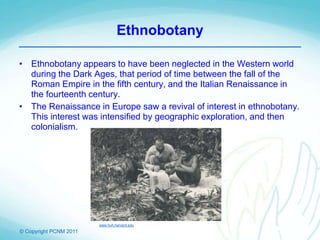 © Copyright PCNM 2011
Ethnobotany
• Ethnobotany appears to have been neglected in the Western world
during the Dark Ages, that period of time between the fall of the
Roman Empire in the fifth century, and the Italian Renaissance in
the fourteenth century.
• The Renaissance in Europe saw a revival of interest in ethnobotany.
This interest was intensified by geographic exploration, and then
colonialism.
www.huh.harvard.edu
 