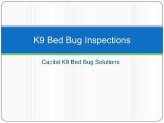 Capital K9 Bed Bug Solutions
K9 Bed Bug Inspections
 