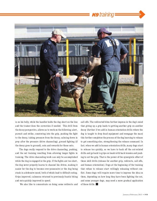 Decoy & Patrol Training