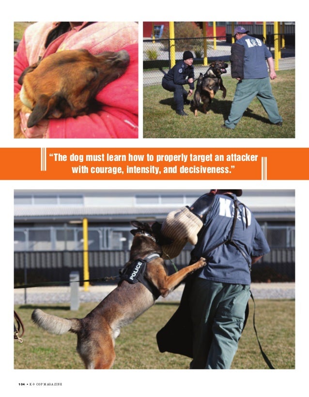 Decoy & Patrol Training