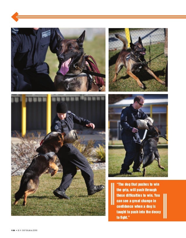 Decoy & Patrol Training