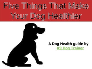 A Dog Health guide by
    K9 Dog Trainer
 