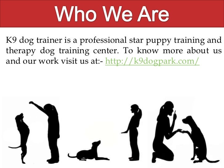 k9 dog training center