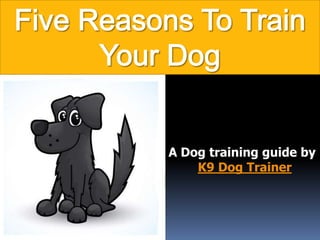 A Dog training guide by
    K9 Dog Trainer
 