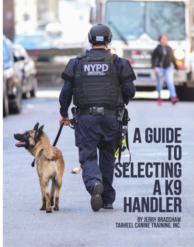 a guide to selecting a k9 handler dog handler