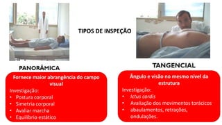 Aula_03_METODO_CLINICO_E_EXAME_FISICO.pdf