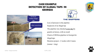 Author: Sergey Karpenko JV PPC, 2016 12
Loss of pressure in the pipeline
Suspicion of an illegal tap
The pipeline was checked every day by
guards on horses, with no result
Check of 200 Km pipeline in Georgia for
illegal taps
Duration project - 2 weeks with 2 teams
(trainer + dog)
Perfectly
hidden illegal
tap
After searching
CASE EXAMPLE
DETECTION OF ILLEGAL TAPS IN
GEORGIA
 