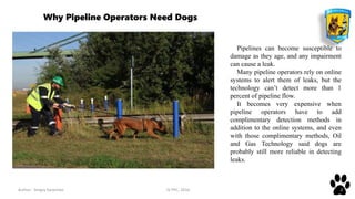 Author: Sergey Karpenko JV PPC, 2016 2
Why Pipeline Operators Need Dogs
Pipelines can become susceptible to
damage as they age, and any impairment
can cause a leak.
Many pipeline operators rely on online
systems to alert them of leaks, but the
technology can’t detect more than 1
percent of pipeline flow.
It becomes very expensive when
pipeline operators have to add
complimentary detection methods in
addition to the online systems, and even
with those complimentary methods, Oil
and Gas Technology said dogs are
probably still more reliable in detecting
leaks.
 
