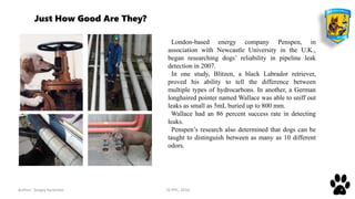 Author: Sergey Karpenko JV PPC, 2016 4
London-based energy company Penspen, in
association with Newcastle University in the U.K.,
began researching dogs’ reliability in pipeline leak
detection in 2007.
In one study, Blitzen, a black Labrador retriever,
proved his ability to tell the difference between
multiple types of hydrocarbons. In another, a German
longhaired pointer named Wallace was able to sniff out
leaks as small as 5mL buried up to 800 mm.
Wallace had an 86 percent success rate in detecting
leaks.
Penspen’s research also determined that dogs can be
taught to distinguish between as many as 10 different
odors.
Just How Good Are They?
 