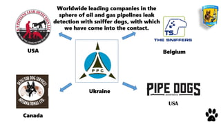 7
USA
Canada
Belgium
Ukraine
Worldwide leading companies in the
sphere of oil and gas pipelines leak
detection with sniffer dogs, with which
we have come into the contact.
 