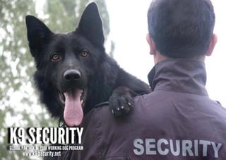 K9 SECURITY
GLOBAL PARTNER IN YOUR WORKING DOG PROGRAM
       www.k9-security.net
 