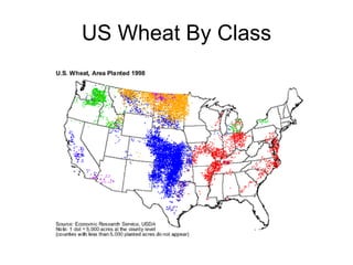 US Wheat By Class