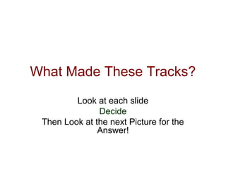 What Made These Tracks?
Look at each slide
Decide
Then Look at the next Picture for the
Answer!
 