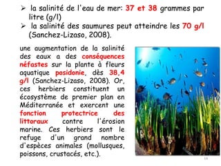 une augmentation de la salinité
des eaux a des conséquences
néfastes sur la plante à fleurs
aquatique posidonie, dès 38,4
g/l (Sanchez-Lizaso, 2008). Or,
ces herbiers constituent un
écosystème de premier plan en
Méditerranée et exercent une
fonction protectrice des
littoraux contre l'érosion
marine. Ces herbiers sont le
refuge d'un grand nombre
d'espèces animales (mollusques,
poissons, crustacés, etc.).
➢ la salinité de l'eau de mer: 37 et 38 grammes par
litre (g/l)
➢ la salinité des saumures peut atteindre les 70 g/l
(Sanchez-Lizaso, 2008).
14
 
