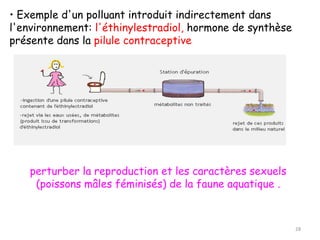 • Exemple d'un polluant introduit indirectement dans
l'environnement: l'éthinylestradiol, hormone de synthèse
présente dans la pilule contraceptive
perturber la reproduction et les caractères sexuels
(poissons mâles féminisés) de la faune aquatique .
28
 