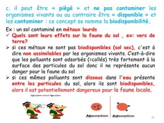 Ex : un sol contaminé en métaux lourds
✓ Quels sont leurs effets sur la faune du sol , ex: vers de
terre?
➢ si ces métaux ne sont pas biodisponibles (sol sec), c'est à
dire non assimilables par les organismes vivants. C’est-à-dire
que les polluants sont adsorbés (=collés) très fortement à la
surface des particules du sol donc il ne représente aucun
danger pour la faune du sol
➢ si ces mêmes polluants sont dissous dans l'eau présente
entre les particules du sol, alors ils sont biodisponibles,
alors il est potentiellement dangereux pour la faune locale.
36
c. il peut être « piégé » et ne pas contaminer les
organismes vivants ou au contraire être « disponible » et
les contaminer : ce concept se nomme la biodisponibilité.
 