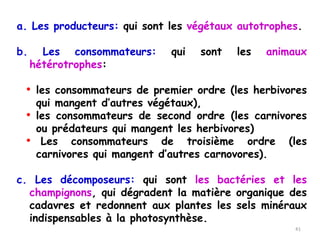 a. Les producteurs: qui sont les végétaux autotrophes.
b. Les consommateurs: qui sont les animaux
hétérotrophes:
• les consommateurs de premier ordre (les herbivores
qui mangent d’autres végétaux),
• les consommateurs de second ordre (les carnivores
ou prédateurs qui mangent les herbivores)
• Les consommateurs de troisième ordre (les
carnivores qui mangent d’autres carnovores).
c. Les décomposeurs: qui sont les bactéries et les
champignons, qui dégradent la matière organique des
cadavres et redonnent aux plantes les sels minéraux
indispensables à la photosynthèse.
41
 
