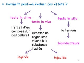 ➢ Comment peut-on évaluer ces effets ?
tests in vitro
tests in vivo
l'effet d'un
composé sur
des cellules
exposer un
organisme
vivant à la
substance
testée
ingérée injectée
tests in situ
le terrain
bioindicateurs
51
 
