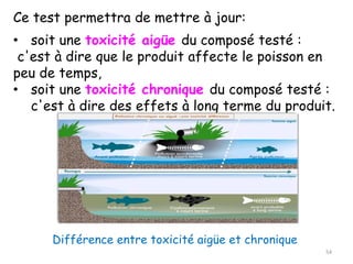 Ce test permettra de mettre à jour:
• soit une toxicité aigüe du composé testé :
c'est à dire que le produit affecte le poisson en
peu de temps,
• soit une toxicité chronique du composé testé :
c'est à dire des effets à long terme du produit.
Différence entre toxicité aigüe et chronique
54
 