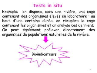 tests in situ
Exemple: on dispose, dans une rivière, une cage
contenant des organismes élevés en laboratoire : au
bout d'une certaine durée, on récupère la cage
contenant les organismes et on analyse ces derniers.
On peut également prélever directement des
organismes de populations naturelles de la rivière.
Bioindicateurs
56
 
