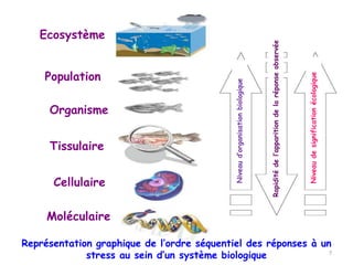 Moléculaire
Cellulaire
Tissulaire
Organisme
Population
Ecosystème
Niveau
de
signification
écologique
Niveau
d’organisation
biologique
Rapidité
de
l’apparition
de
la
réponse
observée
Représentation graphique de l’ordre séquentiel des réponses à un
stress au sein d’un système biologique 7
 