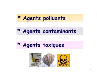 * Agents polluants
* Agents toxiques
* Agents contaminants
16
 
