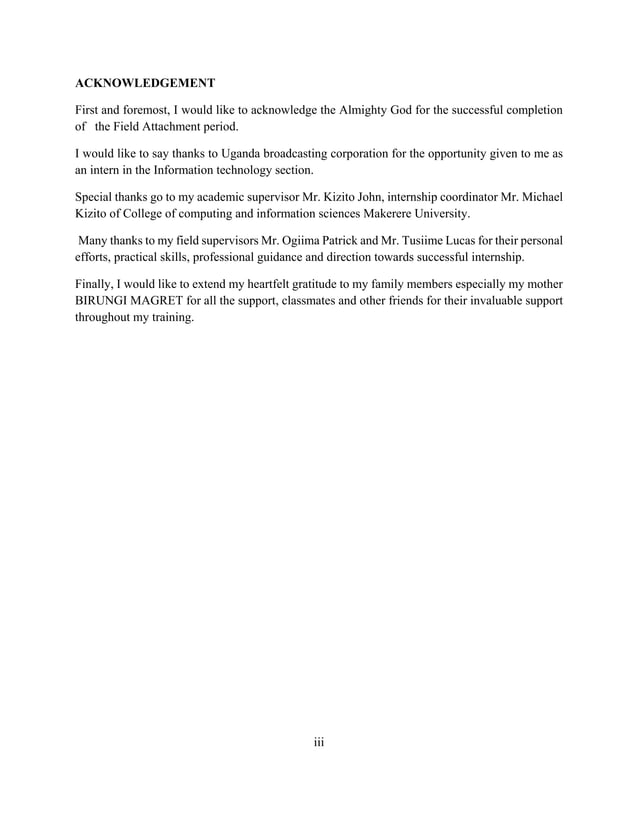 computer science internship report PDF