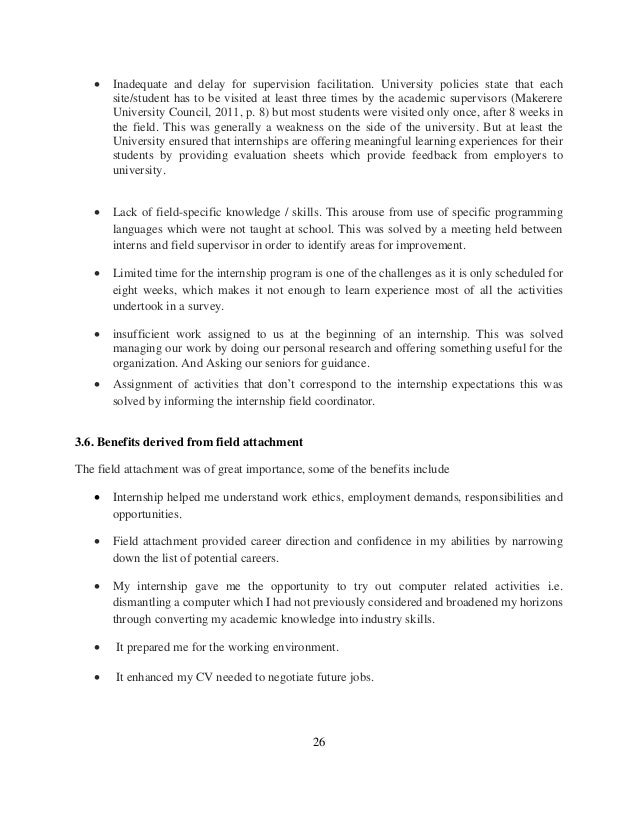example of an essay writing zebra