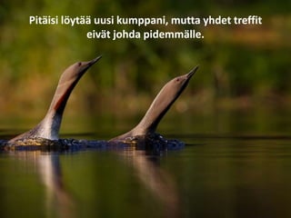 Pitäisi löytää uusi kumppani, mutta yhdet treffit
eivät johda pidemmälle.