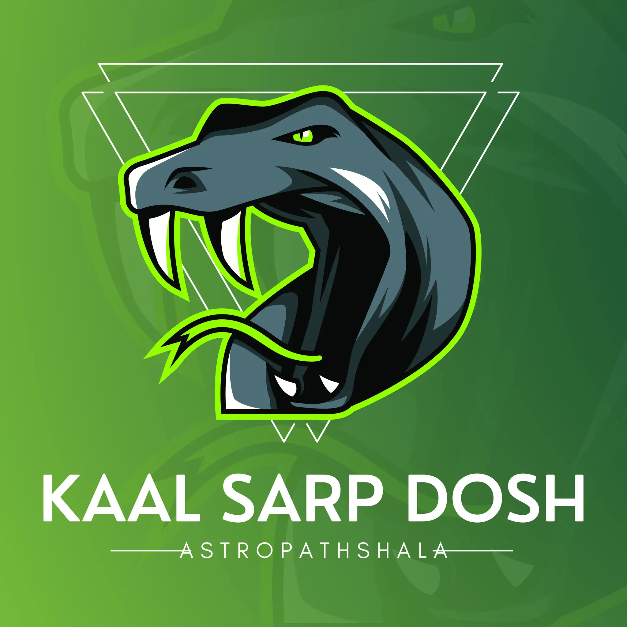 Exploring the 12 Types of Kaal Sarp Dosh: A Guide for Astrology ...