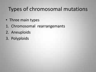 Polyploid Mutations Kaaryotype and abberation | PPTX