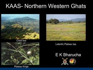 KAAS- Northern Western Ghats
Lateritic Plateau top
Crest line
Plateau fringe
E K Bharucha
 