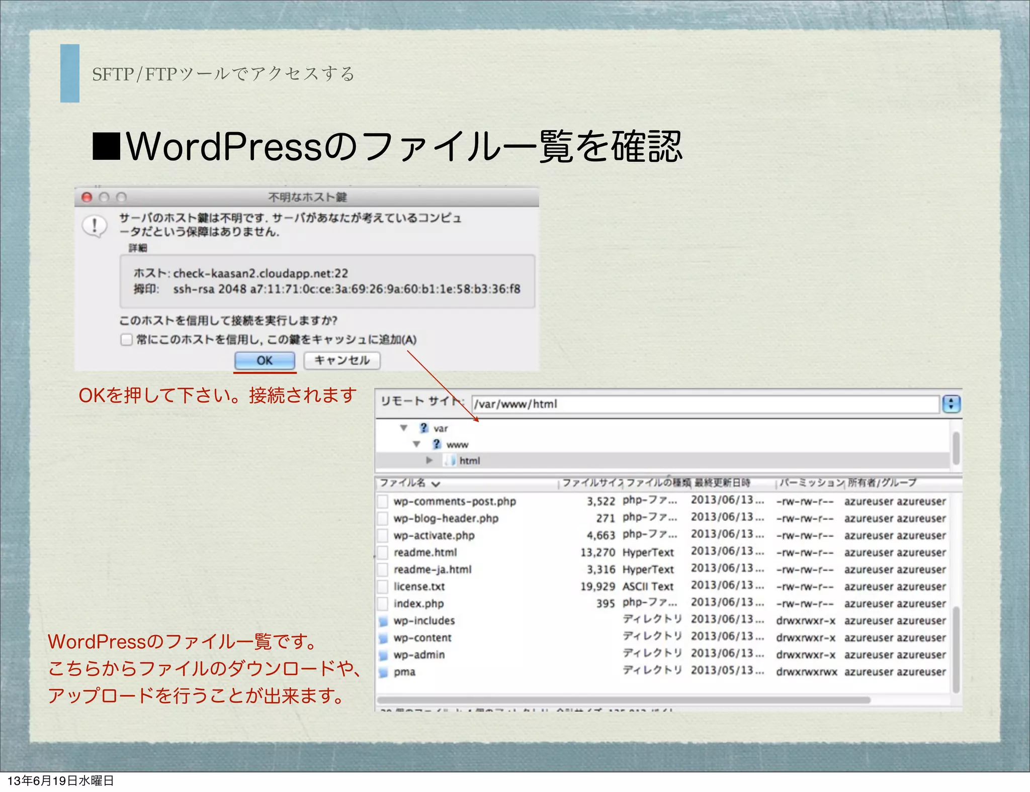 SFTP/FTPツールでアクセスする
■WordPressのファイル一覧を確認
WordPressのファイル一覧です。
こちらからファイルのダウンロードや、
アップロードを行うことが出来ます。
OKを押して下さい。接続されます
13年6月19日水曜日
 