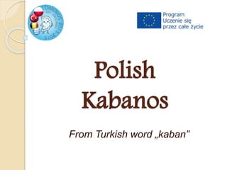 Polish
Kabanos
From Turkish word „kaban”
 