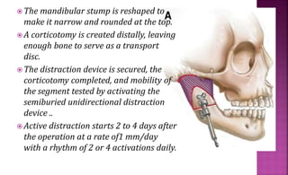  The mandibular stump is reshaped to
make it narrow and rounded at the top.
 A corticotomy is created distally, leaving
enough bone to serve as a transport
disc.
 The distraction device is secured, the
corticotomy completed, and mobility of
the segment tested by activating the
semiburied unidirectional distraction
device ..
 Active distraction starts 2 to 4 days after
the operation at a rate of1 mm/day
with a rhythm of 2 or 4 activations daily.
 