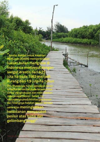“Koalisi Rakyat untuk Keadilan
Perikanan (KIARA) memperkirakan
luasan hutan mangrove di
Indonesia menyusut dengan
sangat drastis dari 4,25
juta ha pada 1982 menjadi
kurang dari 1,9 juta ha tahun
ini. Rusaknya hutan pencegah banjir
tersebut berakibat pada terputusnya
rantai penghidupan dan obat-obatan
masyarakat pesisir. Selain itu,
musnahnya produktivitas perikanan
dan hilangnya habitat pesisir lainnya
serta kian meningkatkan
kerentanan masyarakat
pesisir atas badai dan
gelombang tinggi”
foto: Des Syafrizal/Oxfam.
30
 