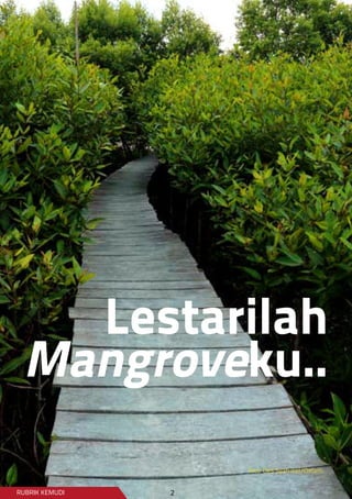 Lestarilah
Mangroveku..
RUBRIK KEMUDI
foto: Des Syafrizal/Oxfam.
2
 