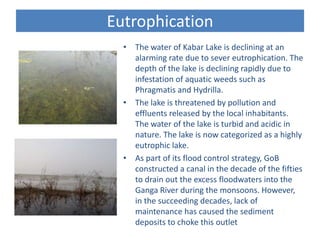 Kabar lake - a floodplain wetland of Bihar-2014