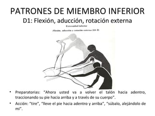 PATRONES DE MIEMBRO INFERIOR
D1: Flexión, aducción, rotación externa

•

Preparatorias: “Ahora usted va a volver el talón hacia adentro,
traccionando su pie hacia arriba y a través de su cuerpo”.
• Acción: “tire”, “lleve el pie hacia adentro y arriba”, “súbalo, alejándolo de
mi”.

 