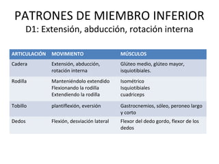 PATRONES DE MIEMBRO INFERIOR
D1: Extensión, abducción, rotación interna

ARTICULACIÓN

MOVIMIENTO

MÚSCULOS

Cadera

Extensión, abducción,
rotación interna

Glúteo medio, glúteo mayor,
isquiotibiales.

Rodilla

Manteniéndolo extendido
Flexionando la rodilla
Extendiendo la rodilla

Isométrico
Isquiotibiales
cuadriceps

Tobillo

plantiflexión, eversión

Gastrocnemios, sóleo, peroneo largo
y corto

Dedos

Flexión, desviación lateral

Flexor del dedo gordo, flexor de los
dedos

 