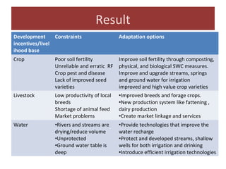 Collective action issues at the Kabe Watershed Pilot Project in Ethiopia, 2011-2013