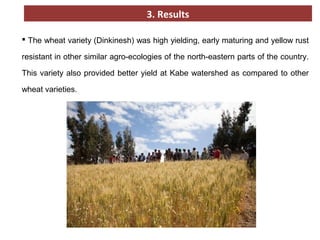 Crop related interventions at the Kabe Watershed Pilot Project in Ethiopia, 2011-2013